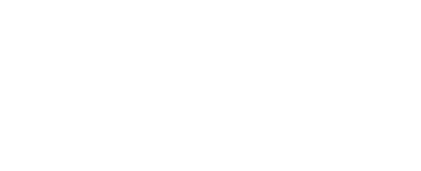 DISfest